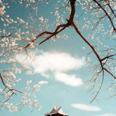 六界修仙记正式版(暂未上线)v1.0 安卓最新版