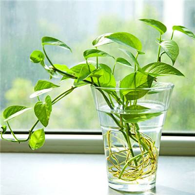 苍穹诀手游破解版下载